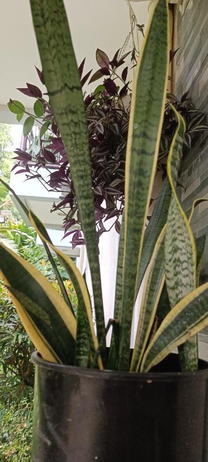 Layang Layang Home El Nido Dış mekan fotoğraf