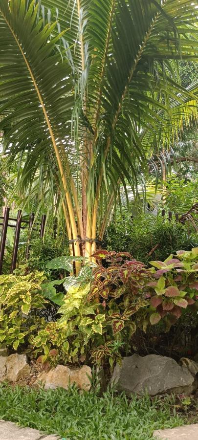 Layang Layang Home El Nido Dış mekan fotoğraf